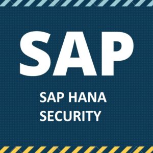 SAP HANA SECURITY