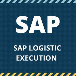 SAP LOGISTIC EXECUTION TUTORIAL