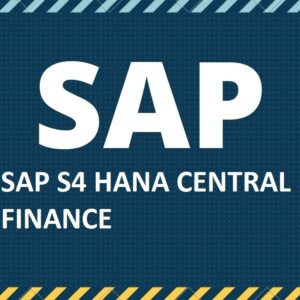 SAP S4 HANA CENTRAL FINANCE 1909 TUTORIAL